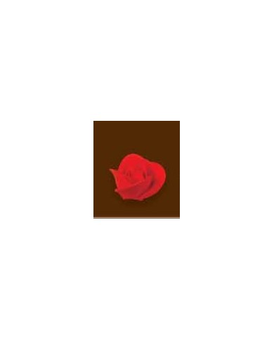 ROSA BAIXA 03 C/35 - 10400112V