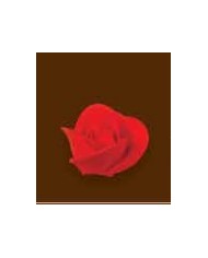 ROSA I03 C/35 (ROSA MÉDIA) - VERMELHA - 10400136V