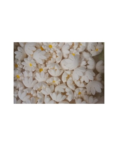 MIMINHOS C/126 BRANCOS - 10400159B