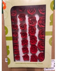 ROSA I03 C/35 (ROSA MÉDIA) - ROSA - 10400136R