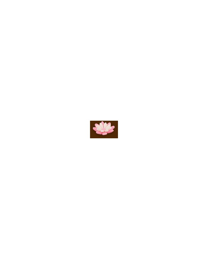 MIMINHOS C/126 ROSAS - 10400159R