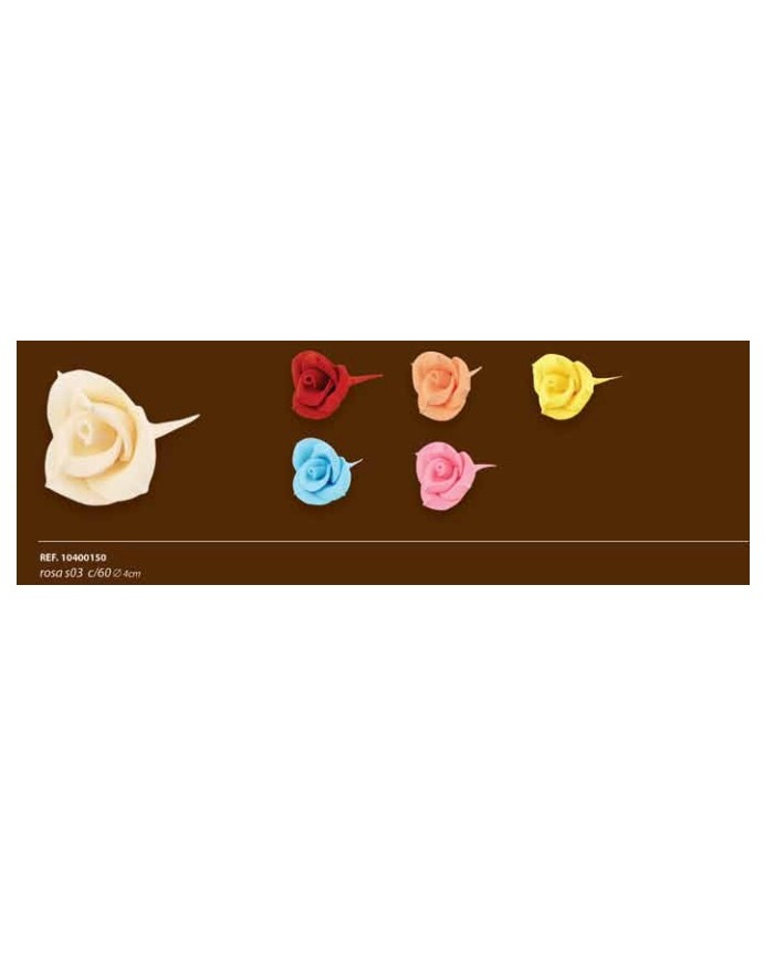 ROSA S03 C/60 - 10400150