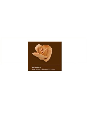 ROSA AROMA SALPICADA C/24 - 10400351