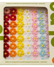 10400964 - DAISY  C/ 24