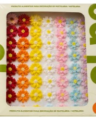 10400964 - DAISY  C/ 24