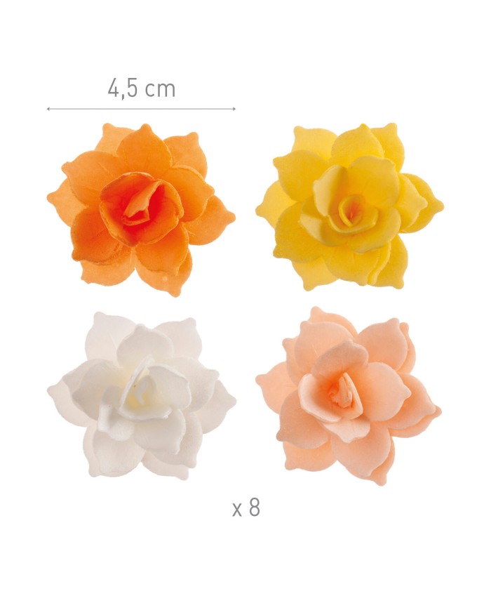 166034 - 8 MINI FLORES OBREIA OUTONO