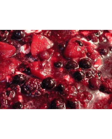 RECHEIO DE FRUTOS SILVESTRES 500 GR