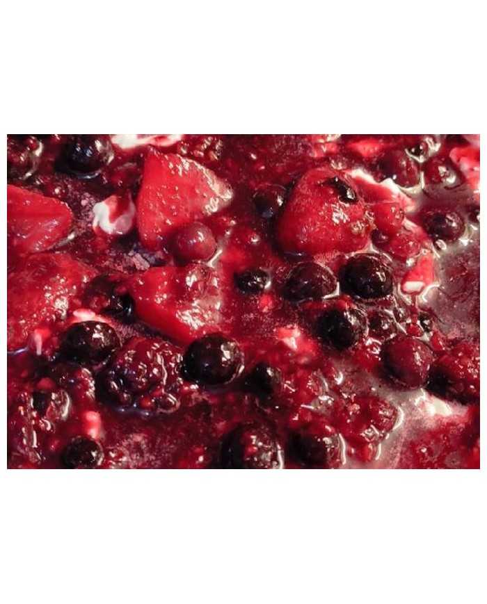 RECHEIO DE FRUTOS SILVESTRES 500 GR