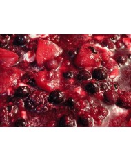 RECHEIO DE FRUTOS SILVESTRES 500 GR