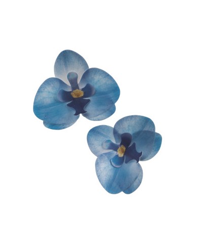 Orquídea Azul- 126151