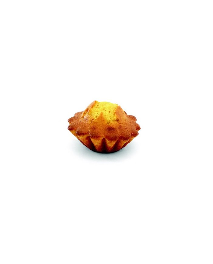 LIZQUEQUES MIX  15 Kg