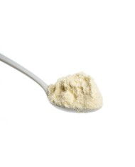 LEITE EM PÓ 13% (25KG)