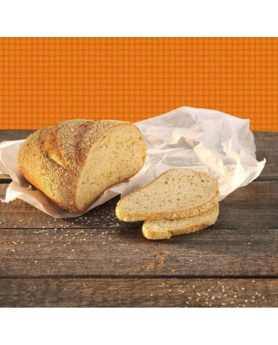 I33314 - REX CHIA 1 X 12,5 KG