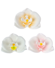 ORQUIDEAS AÇÚCAR CORES SORTIDAS 7CM - 210119