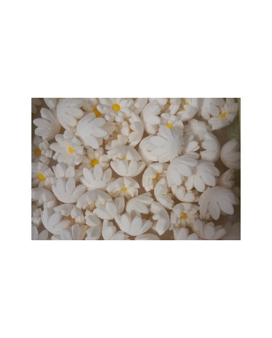MIMINHOS C/126 BRANCOS - 10400159B