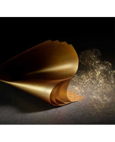 31496 - GOLDEN TOUCH XL