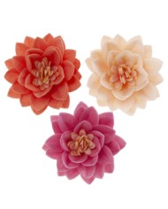 126142 - DALIA GRANDE OBREIA ROSA 12,5CM