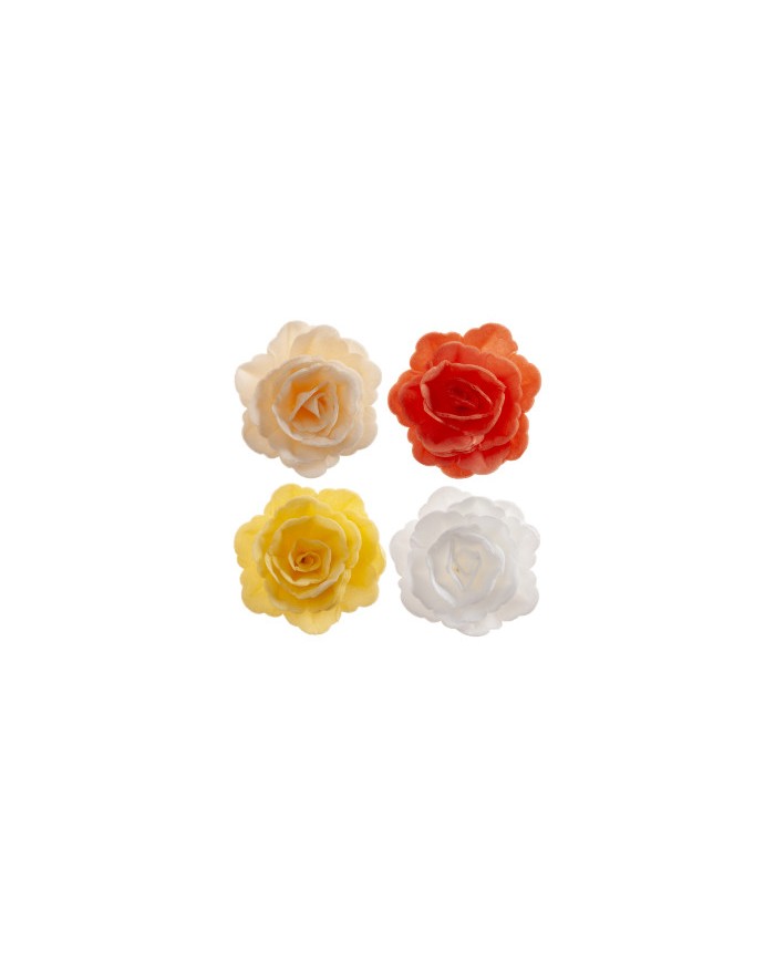 126171 - ROSAS OUTONO SORTIDAS 7CM C/ 15 UN