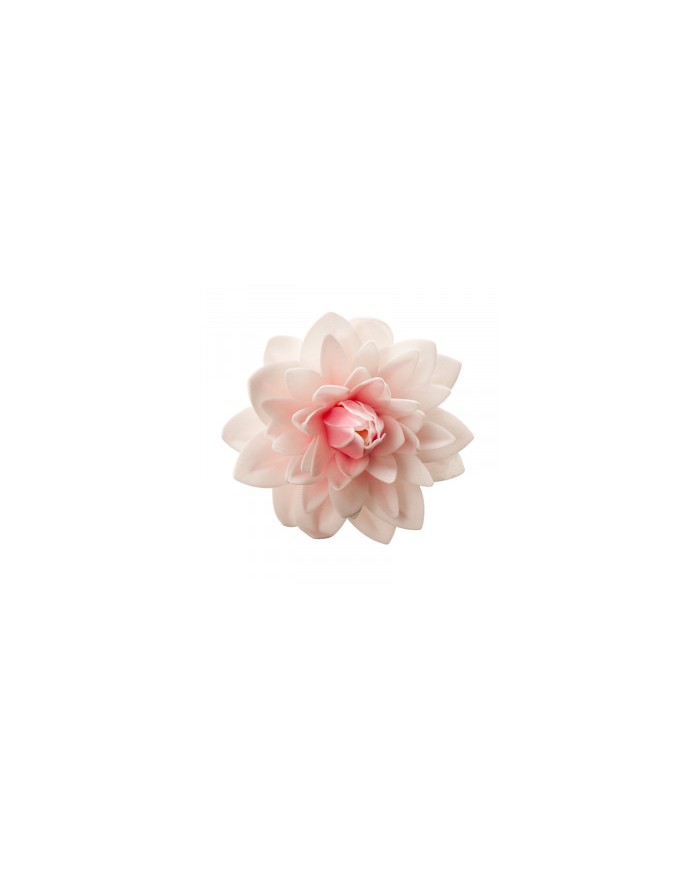 126142 - DALIA GRANDE OBREIA ROSA 12,5CM