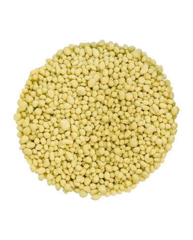 AR03180 - CROCANTES DOTS PISTACHO 1 KG