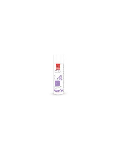 23384 - COLOR SPRAY LILÁS AF 250 ML