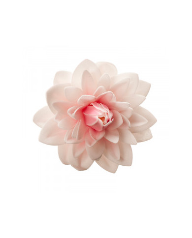 126142 - DALIA GRANDE OBREIA ROSA 12,5CM