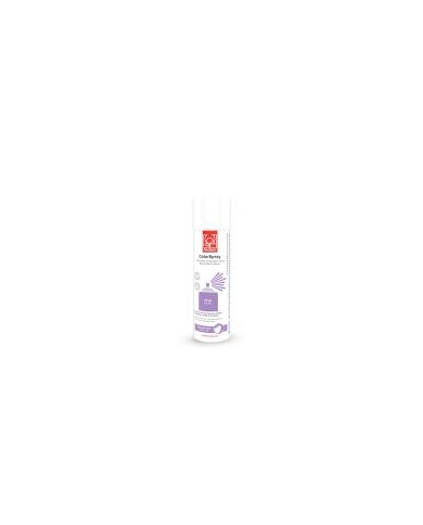 23384 - COLOR SPRAY LILÁS AF 250 ML