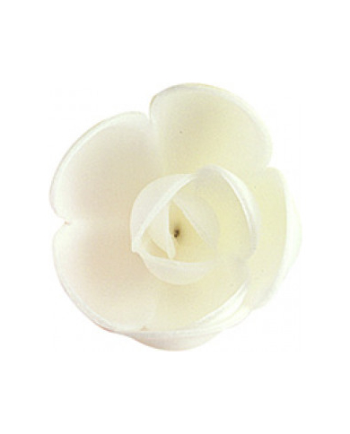 126007 - ROSA PEQ BRANCA (72)