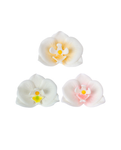 ORQUIDEAS AÇÚCAR CORES SORTIDAS 7CM - 210119