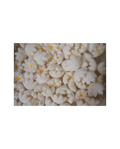 MIMINHOS C/126 BRANCOS - 10400159B