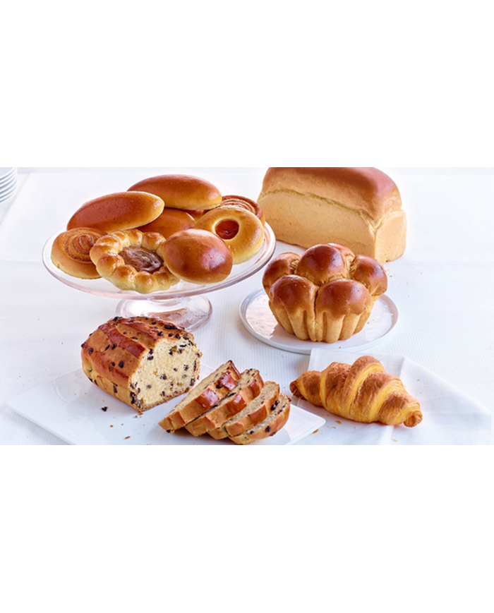 LIZBRIOCHE