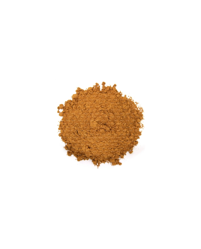 CANELA EM PÓ