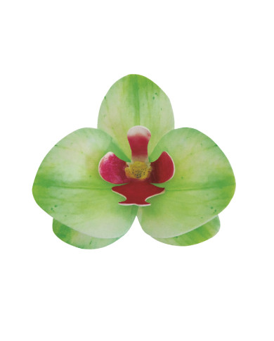 Orquídea Verde - 126165
