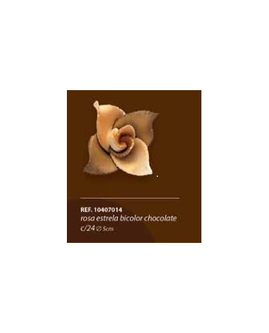 ROSA ESTRELA BICOLOR CHOCOLATE C/24