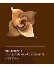 ROSA E03 ESFARRAPADA C/35 - 10400125