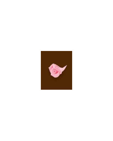 ROSA S02 C/120 ROSA - 10400149R