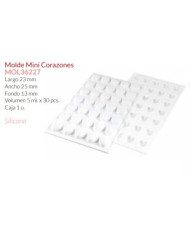 20TC003 -  MOLDE PLÁSTICO 100G 150X170 MM 5 PCS