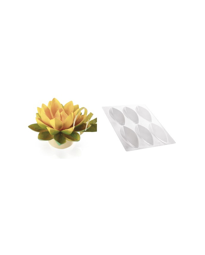 20-1010 - KIT LOTUS FLOWER BIG MOULD