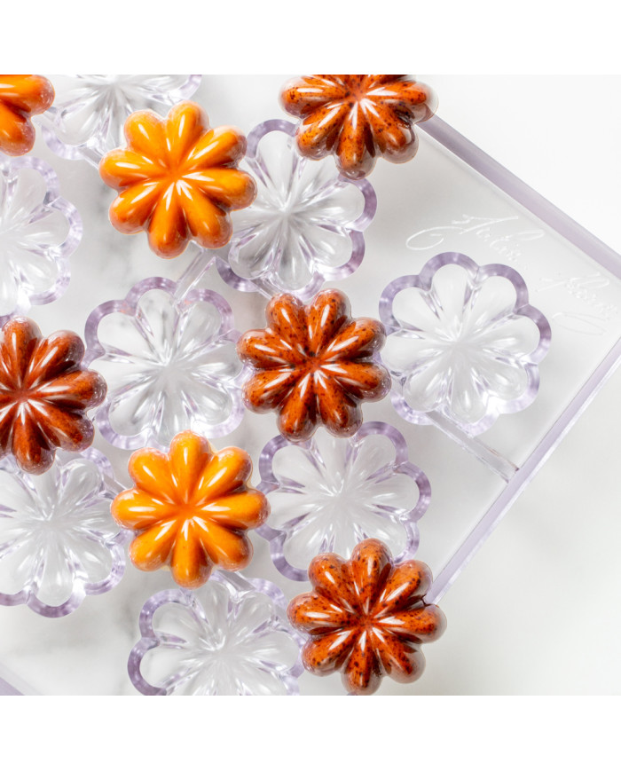 21MA1067 - PRALINE ETOLIE BPA FREE MOLDE 38 x 38 H 15 MM