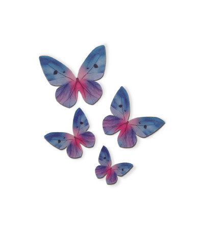 Borboletas - 126170