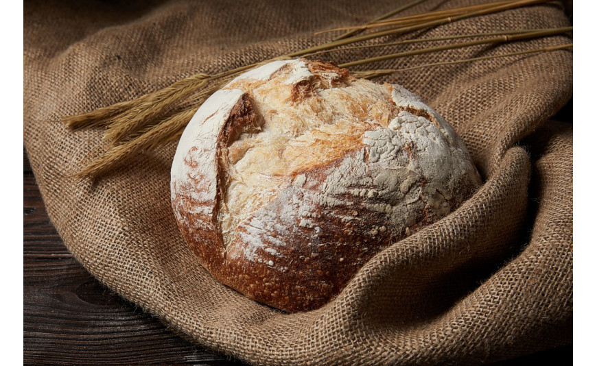 Pão de trigo, milho e centeio com IREKS MAÍZ e REX BAVAROIS